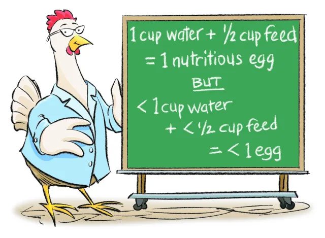Bespectacled chicken in a lab coat beside a chalkboard that reads: 1 cup water + 1/2 cup feed = 1 nutritious egg BUT <1 1 cup water + 1/2 cup feed = <1 egg