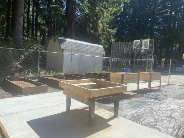 Garden with raised beds, wheelchair accessible raised beds, wide cement walkways surrounded by chain link fencing..