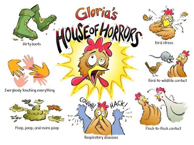 Gloria's House of Horrors: Cartoon depictions of anguished chicken face; dirty boots; everybody touching everything; poop, poop and more poop; respiratory diseases (3 chickens coughing) flock-to-flock contact; bird-to-bird contact; and bird stress