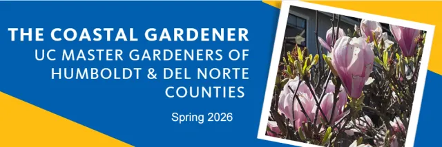 A blue and gold background rectangle with an image of a pink blooming tulip magnolia. A header for the Spring 2026 Coastal Gardener Newsletter.