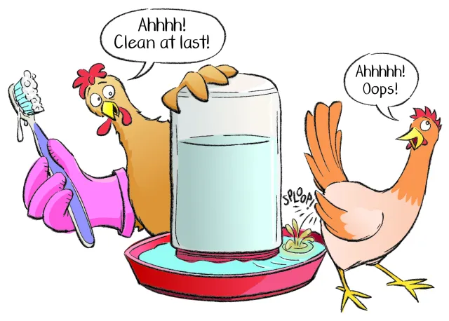 A chicken holding a toothbrush topped with suds on one side of a water dispenser says, "Ahhhh! Clean at last!" Chicken pooping in water on other side says, "Ahhhh! Oops!