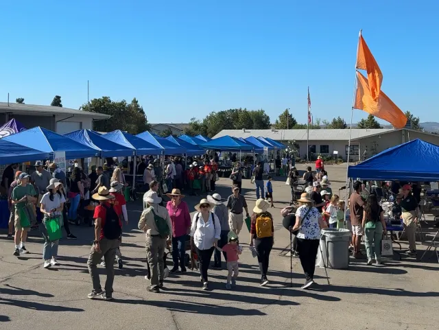 people walking through an outdoor expo with blue pop-up tents and different booth