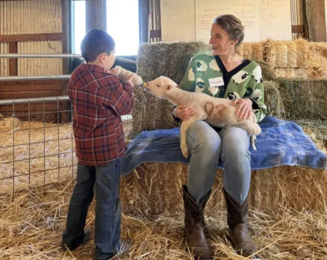 A small boy holds a bottle of milk for a lamb on Hannah's lap. Hannah is sitting on a hay bale