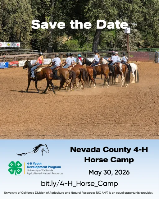 Alt text: Photograph of a group of riders on horses gathered in a dirt arena, surrounded by trees and fencing, with "Save the Date" text at the top. Below, a blue banner promotes Nevada County 4-H Horse Camp on May 30, 2026, featuring 4-H Youth Development Program and University of California logos, along with a URL for more information.