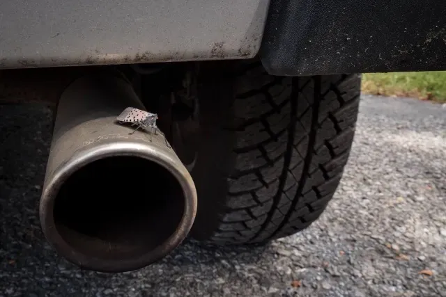 A large insect with spotted grey wings folded over its back sitting on the tailpipe of a car.