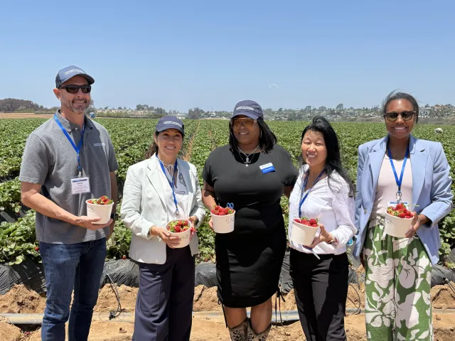 Five people stand in a strawberry field holding baskets of berries