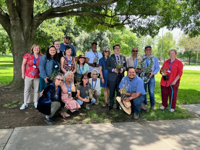 group of graduates posing under a tree