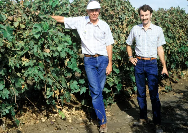 Fred Jensen (left) and Larry Bettiga stand in a vineyard