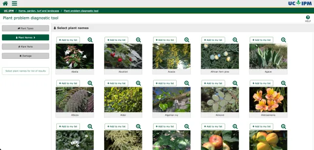 The image shows an interface from the UC IPM Plant Problem Diagnostic tool. The page includes a header with navigation links. The section is labeled "Select plant names" and displays a grid of plant images with their corresponding names. Each image includes a plant name underneath and an option to "Add to my list" with a magnifying glass icon for more details. To the left, there’s a navigation panel with options labeled Plant Types, Plant Names, Plant Parts, and Damage.