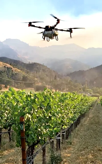 A spray drone provides precision aerial application over a vineyard