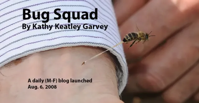 Bug Squad Logo