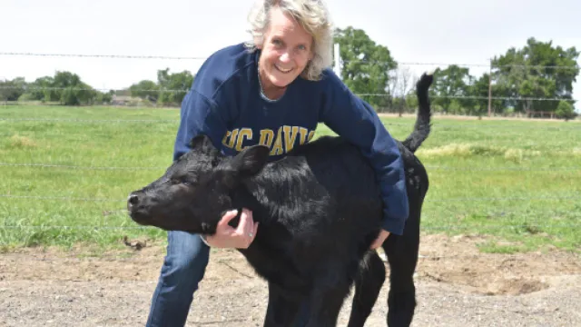 A woman hugs a black calf