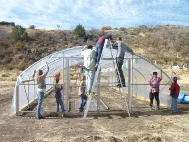Laurie Wayne and friends raise a hoophouse at her farm