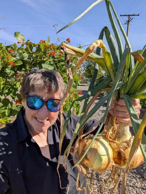Laurie Wayne beams as she holds up a bunch of Walla Walla onions