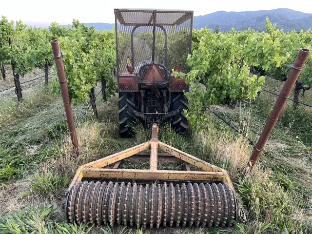 Ring Roller with a sled used to smash down cover crops into a thatched mat in the alley of a vineyard