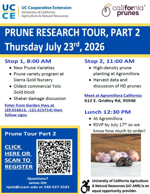 Prune Tour Part 2 - 2026