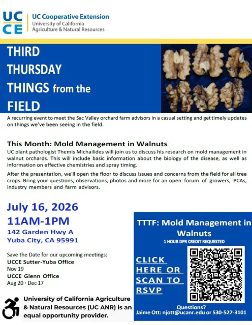 TTTF 7.16.26