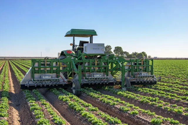 Machine-vision lettuce thinning targets individual plants with precision applications