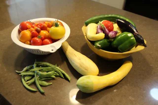 Fresh picked tomatoes, squash, bell peppers, beans, eggplant and cucumber on a kitchen counter.