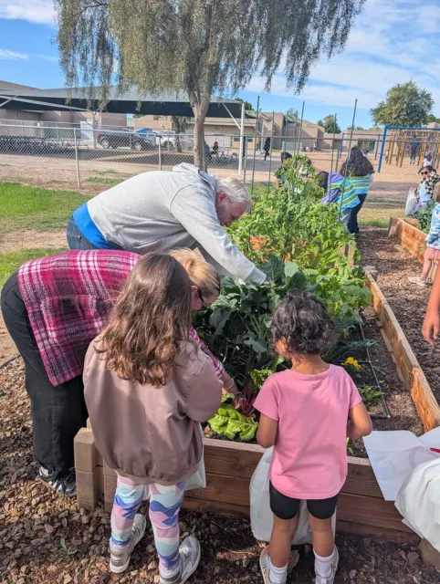 Two children standing near a raised garden bed with two adult educators.