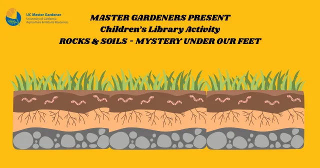 Rocks and soils library class for children