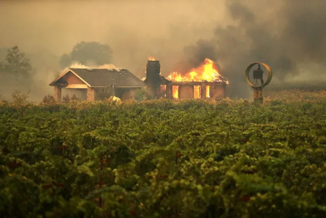 Wildfire engulfing home at the edge of a vineyard