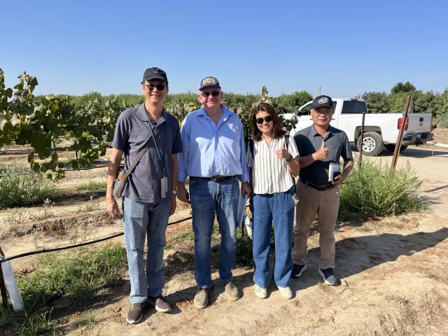 Four people standing in grape vineyard