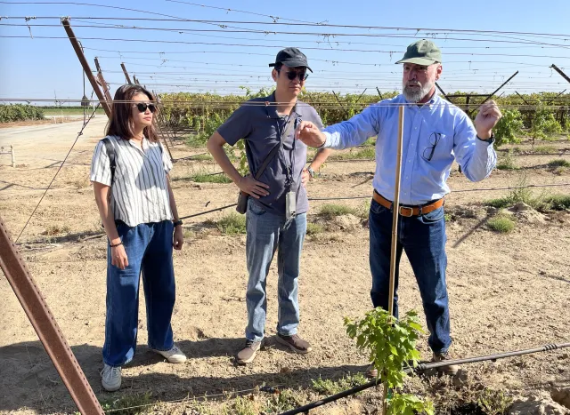 Woman and man observe as Matt gestures to trellis over grapevine