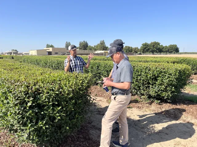Ryan, with both hands raised, speaks to two men next to tea bushes
