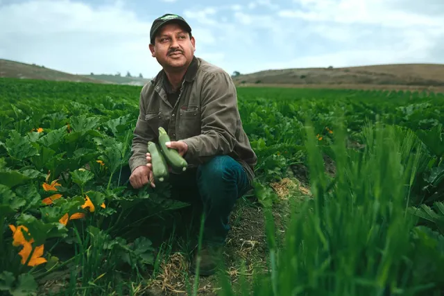 Man holds 2 zucchinis while squatting in a crop field