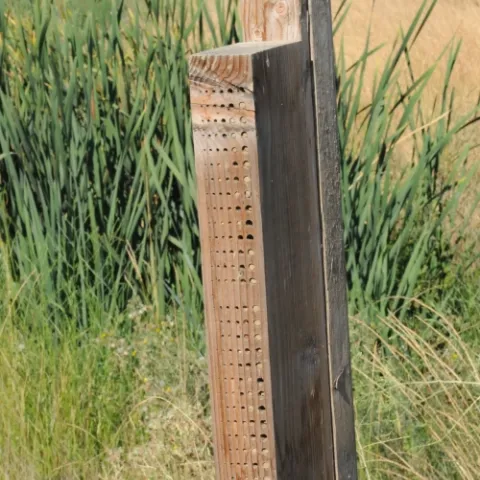 This is a bee nesting block built to attract native pollinators. (Photo by Kathy Keatley Garvey)