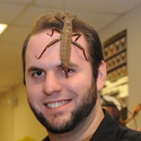 NEW HEADGEAR--Eric San Gregorio, an undergraduate student majoring in entomology at UC Davis, has new headgear: a Giant New Guinea Walking Stick. (Photo by Kathy Keatley Garvey)
