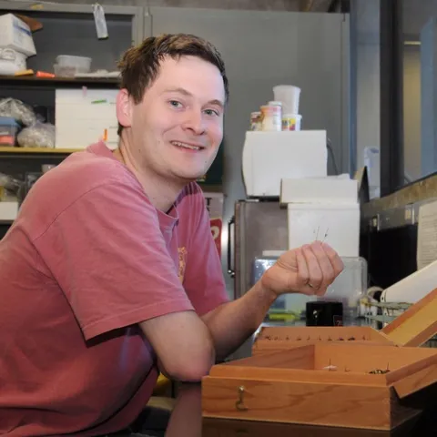 IN THE LAB--UC Davis evolutionary ecologist Andrew Forbes works in the lab. His research on the apple maggot and a parasitic wasp will be published Feb. 6 in the journal Science. (Photo by Kathy Keatley Garvey)