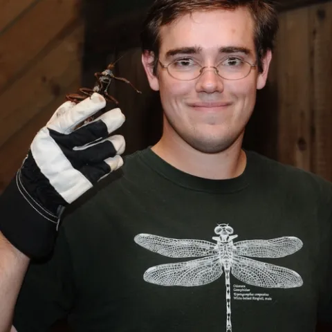 Brian Turner, outreach coordinator at the Bohart Museum of Entomology, shows a male Giant New Guinea Walking Stick. Six species of insects from the Bohart are housed at the Dixon May Fair, May 7-10. (Photo by Kathy Keatley Garvey)