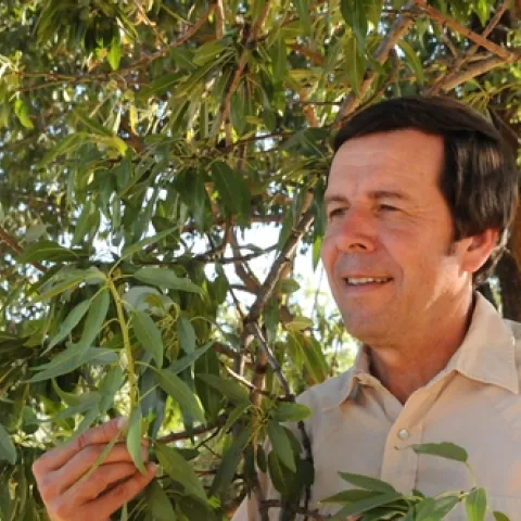 FRANK ZALOM, professor of entomology and integrated pest management specialist (IPM), UC Davis Department of Entomology, is part of the IPM team making a difference in Central Asia. (Photo by Kathy Keatley Garvey)