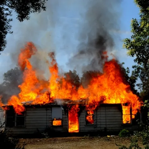 BAXTER HOUSE, built in 1938, went up in flames on June 30 in a UC Davis firefighters' control burn. The grounds will now be a quarter-acre field of wildflowers called The Campus Buzzway. (Photo by Kathy Keatley Garvey)