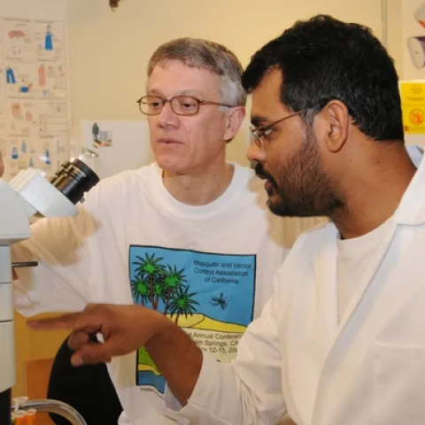 CHEMICAL ECOLOGISTS Walter Leal (left), professor and former chair of the UC Davis Department of Entomology, and postdoctoral researcher Zain Syed, at work in the Walter Leal lab. (Photo by Kathy Keatley Garvey)