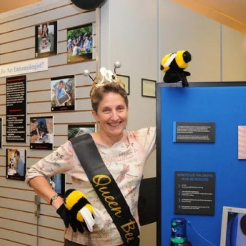 QUEEN BEE at the Bohart Museum open house was Lynn Kimsey, director of the Bohart and professor and vice chair of the UC Davis Department of Entomology. (Photo by Kathy Keatley Garvey)