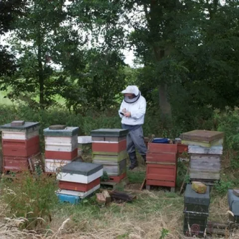 BEEKEEPER AND ARTIST Andrew Tyzack of East Riding, Yorkshire, UK, with his bees. (Photo courtesy of Andrew Tyzack)