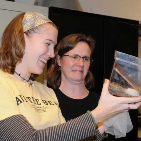 UC DAVIS graduate students Emily Bzdyk (left) and Fran Keller show different reactions to the cockroaches at the Bohart Museum of Entomology. Keller admits to liking other insects better; she's working on beetles for her doctorate. (Photo by Kathy Keatley Garvey)