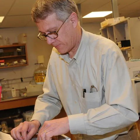 CHEMICAL ECOLOGIST Walter Leal working in his UC Davis lab. His lab revealed the secret mode of the insect repellent DEET in groundbreaking research published in 2008.(Photo by Kathy Keatley Garvey)