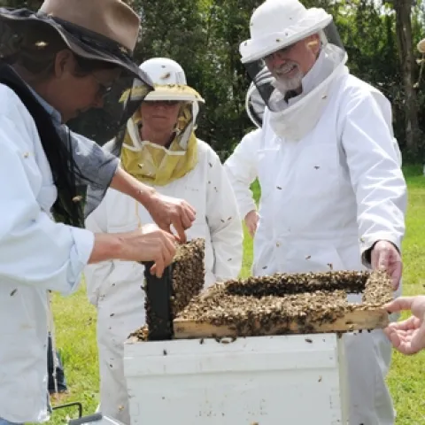 BEE BREEDER-GENETICIST Susan Cobey (left) shows a hive to the students in her queen bee-rearing class. (Photo by Kathy Keatley Garvey)