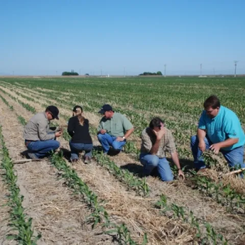 Farmers get a close-up look at a CT farm.
