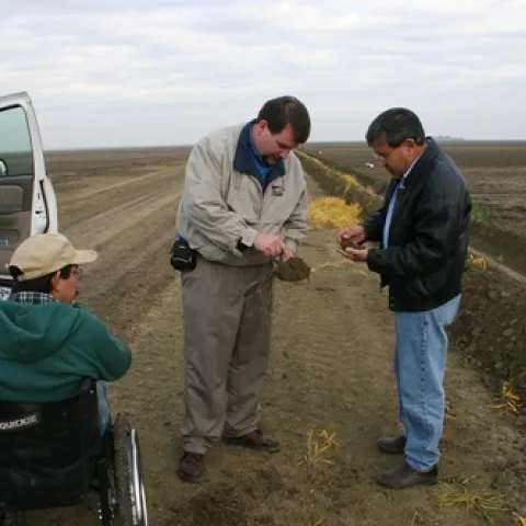 Alan Sano, Jesse Sanchez and ? at the Sano Farm in Firebaugh.