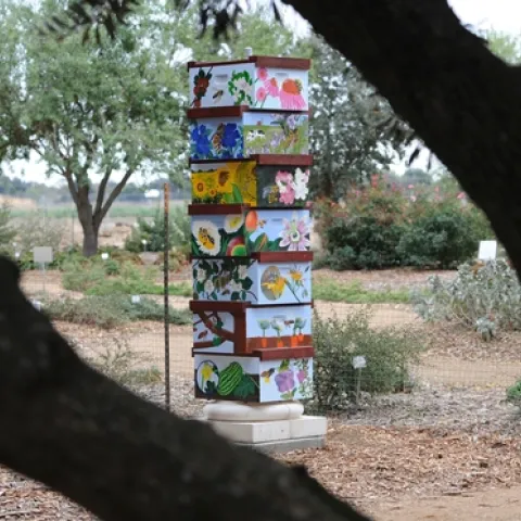 BETWEEN THE BRANCHES--A beehive column, as seen through the branches of an olive tree at the Haagen-Dazs Honey Bee Haven on Bee Biology Road, UC Davis. The bee box (fourth from bottom) shows a honey bee in flight with a close-up below. (Photo by Kathy Keatley Garvey)