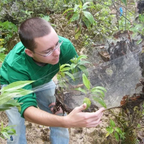 Jonathan Pruitt, postdoctoral fellow at the Center for Population Biology, UC Davis Department of Evolution and Ecology, will speak Jan. 19 on “From Individuals to Populations to Communities: When Does Personality Matter?”
