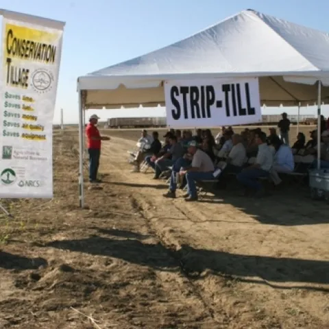 Information is available for dairy operators interested in conservation tillage.