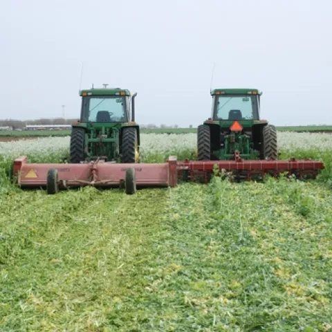 Photo by Ron Harben.