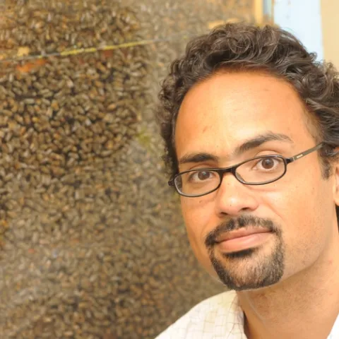 Brian Johnson, who specializes in behavior, genetics and evolution of honey bees, has joined the UC Davis Department of Entomology faculty. (Photo by Kathy Keatley Garvey)