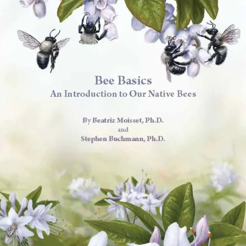 The cover of Bee Basics: An Introduction to Our Native Bees.